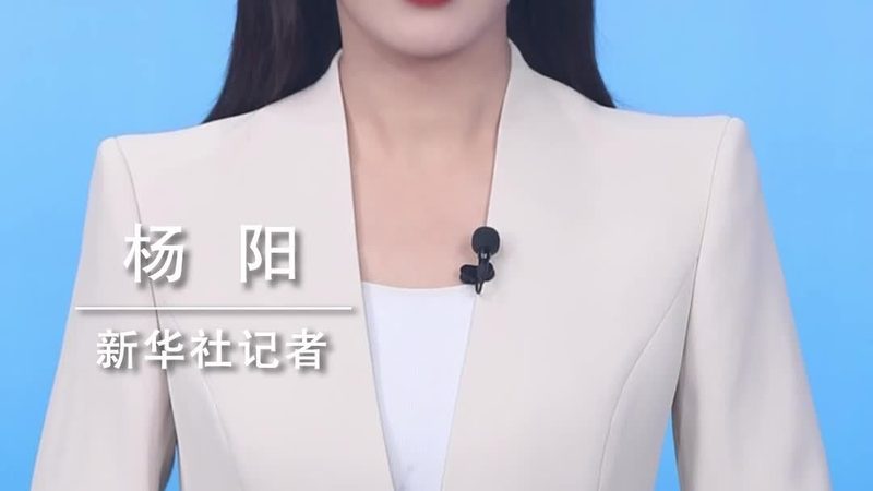 人工智能应用创新定制开发：探索定制化解决方案的奥秘